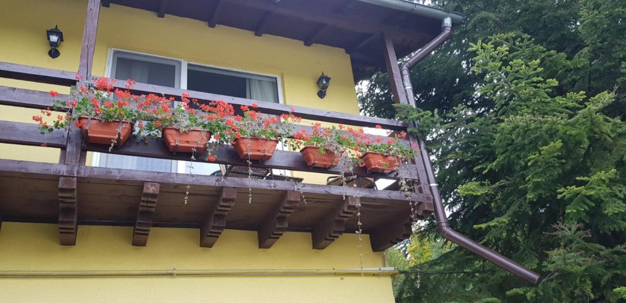 Apartamente Private A&L View Сіная Екстер'єр фото